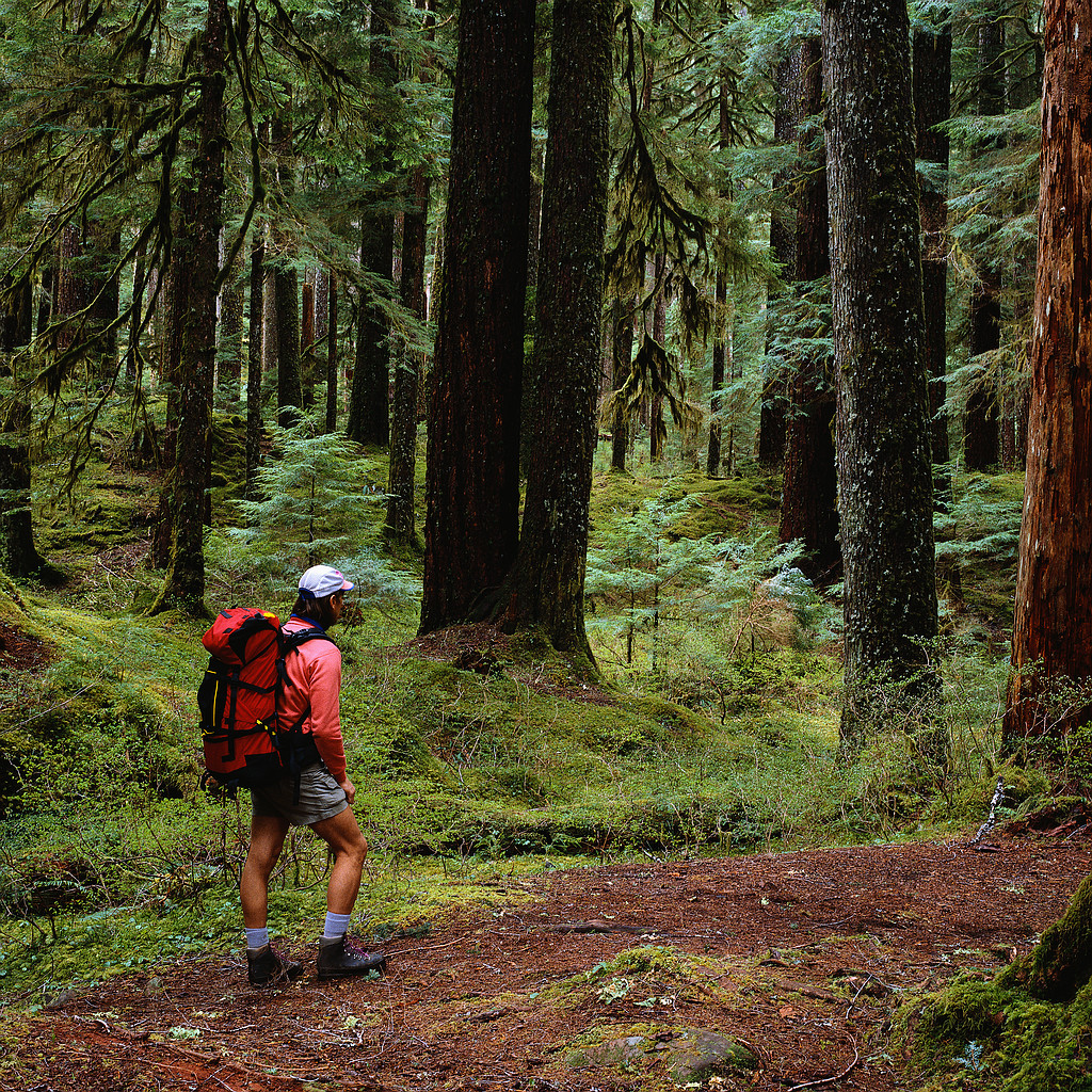 Walking Trails